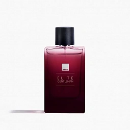 Туалетная вода Elite Gentleman для него,90 мл